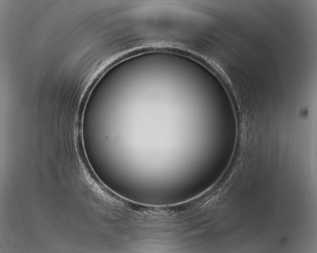 X0000116370895200912161435