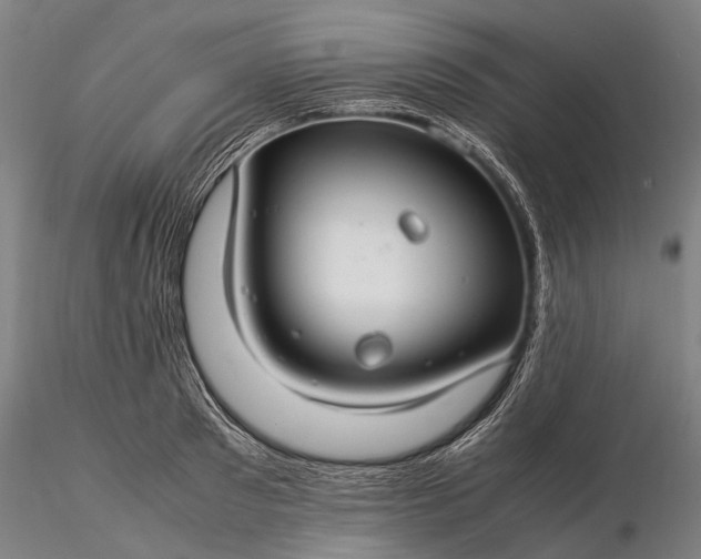 X0000116370897200912161435