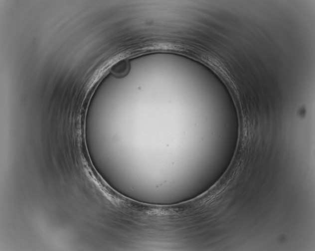 X0000116370898200912161435