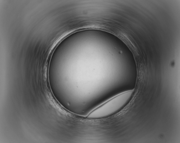 X0000116370900200912161435