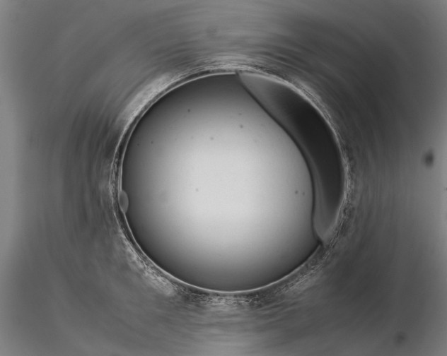 X0000116370901200912161435