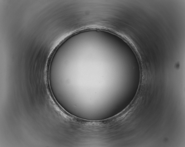 X0000116370902200912161435