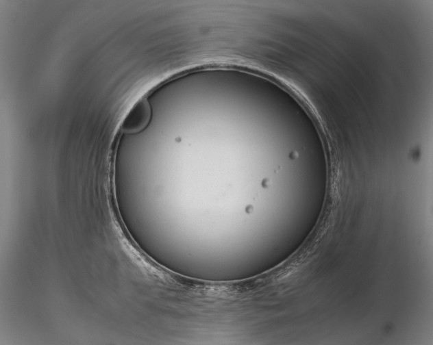 X0000116370903200912161435