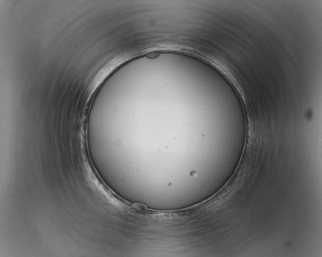 X0000116370906200912161435