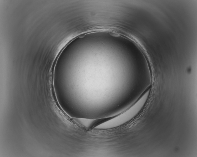 X0000116370907200912161435