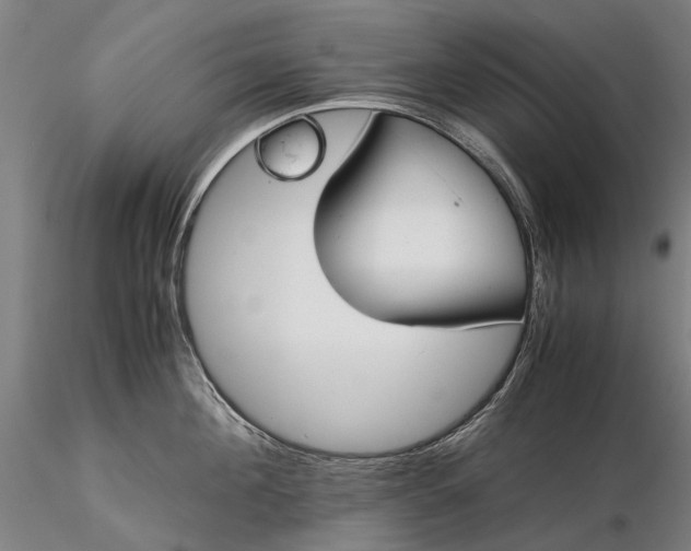 X0000116370908200912161435