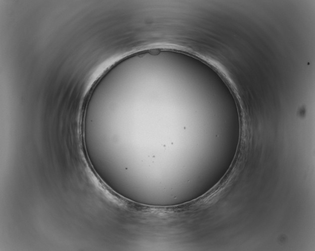 X0000116370910200912161435