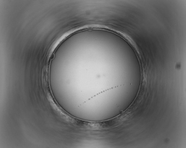 X0000116370911200912161435