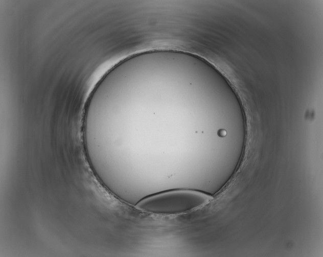 X0000116370912200912161435