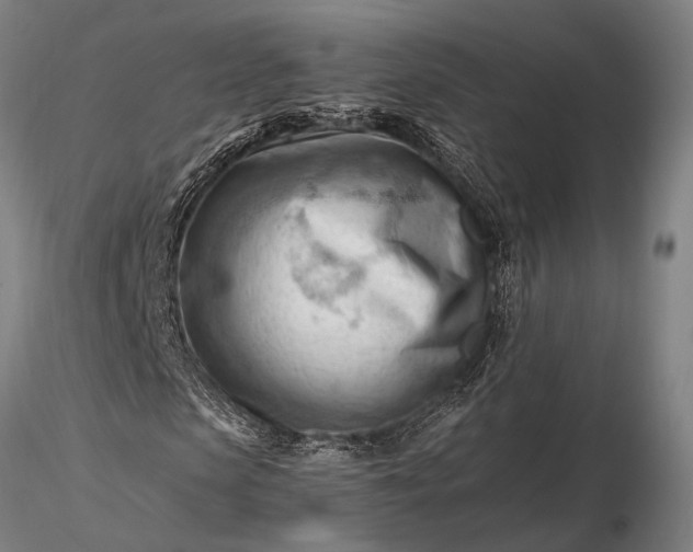 X0000116370913200912161434