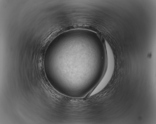 X0000116370915200912161434