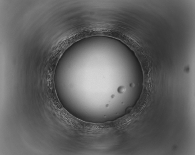 X0000116370917200912161434