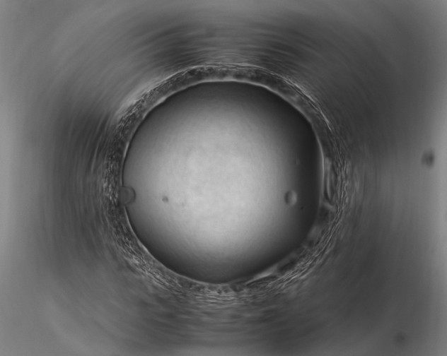 X0000116370919200912161434