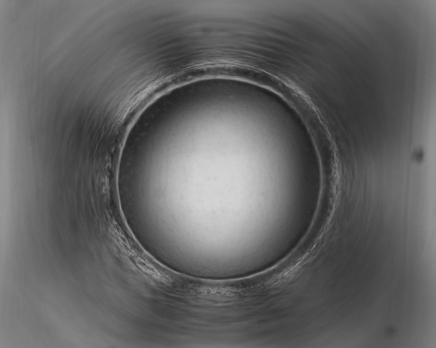 X0000116370921200912161434