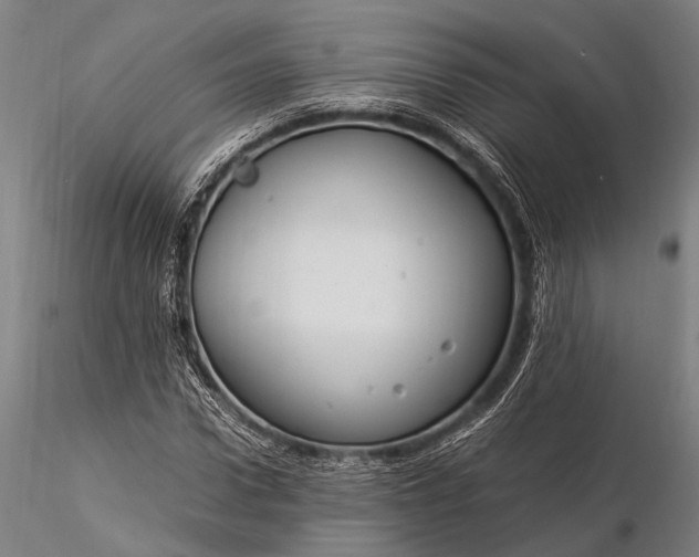 X0000116370922200912161434