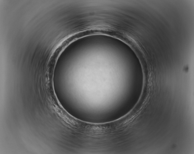 X0000116370923200912161434