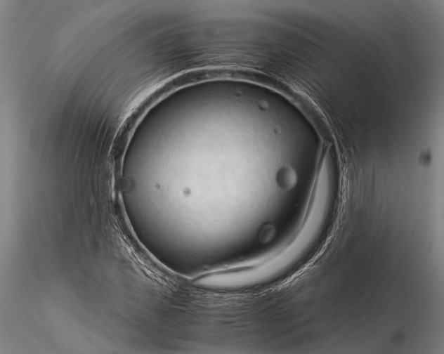 X0000116370925200912161434