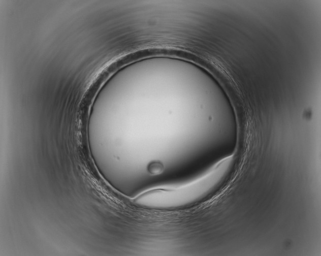 X0000116370926200912161434