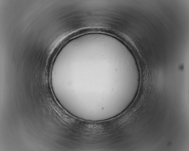 X0000116370927200912161434