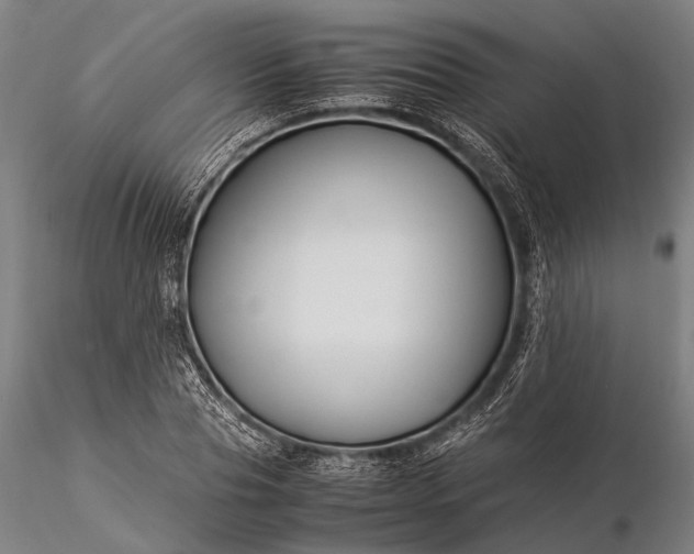 X0000116370929200912161434