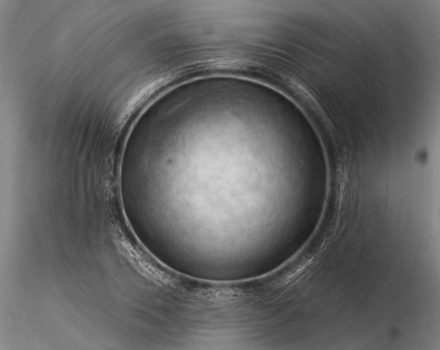 X0000116370930200912161434