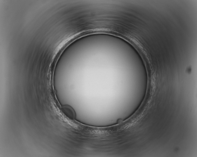 X0000116370933200912161434