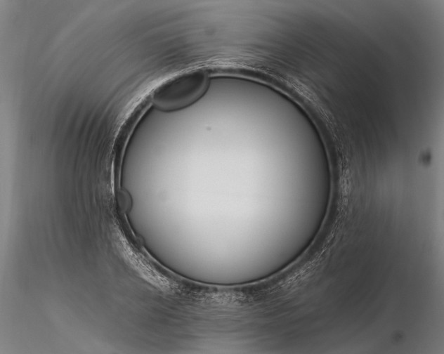 X0000116370934200912161434