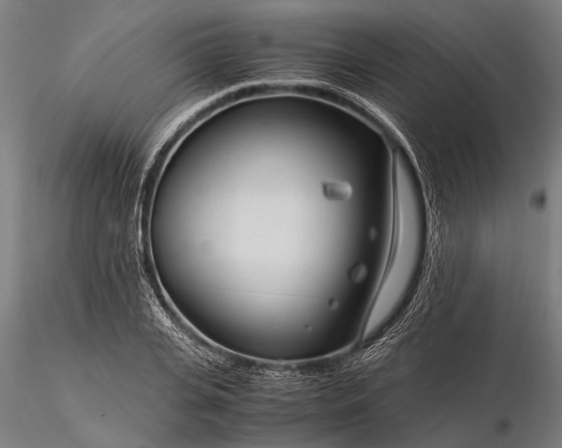 X0000116370935200912161434