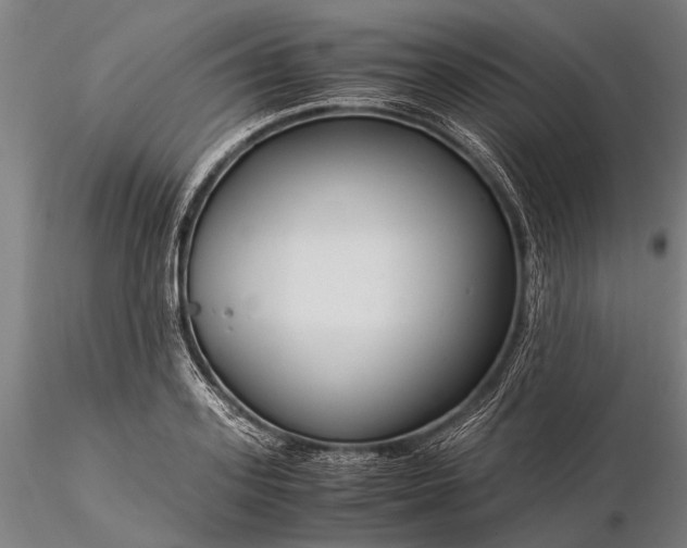 X0000116370939200912161434