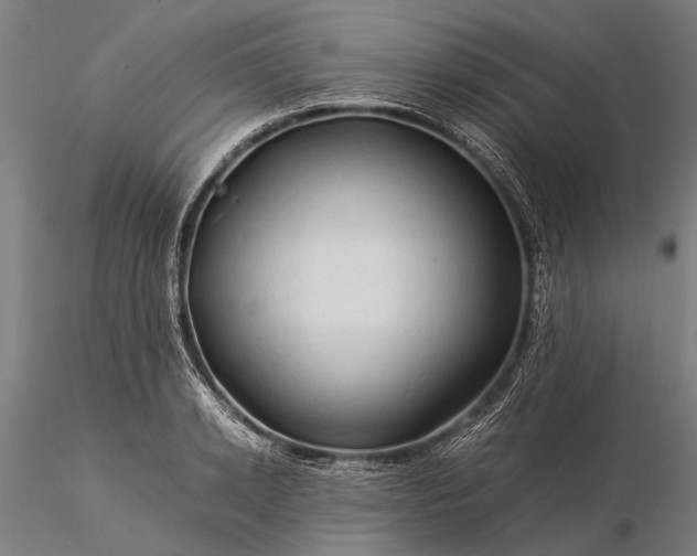 X0000116370942200912161434