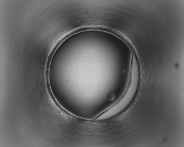 X0000116370943200912161434