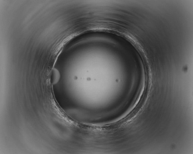 X0000116370945200912161435