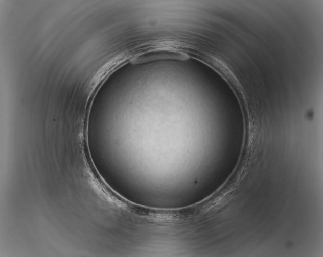 X0000116370946200912161435