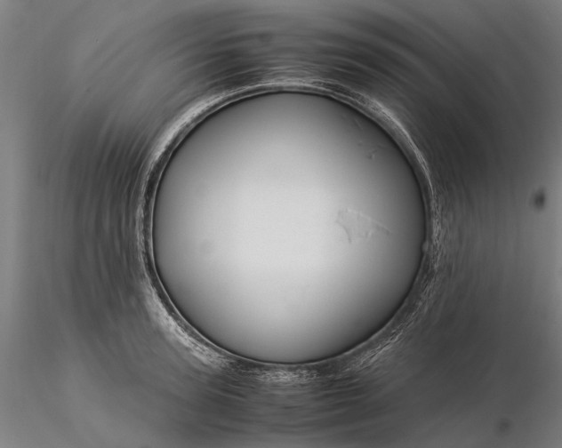 X0000116370947200912161435