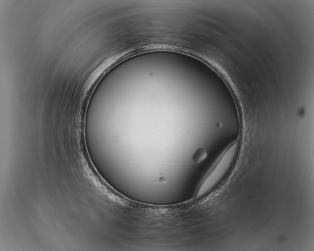 X0000116370949200912161435