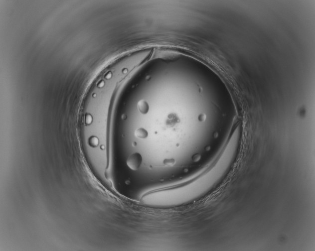 X0000116370950200912161435