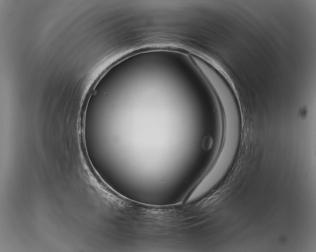 X0000116370951200912161435