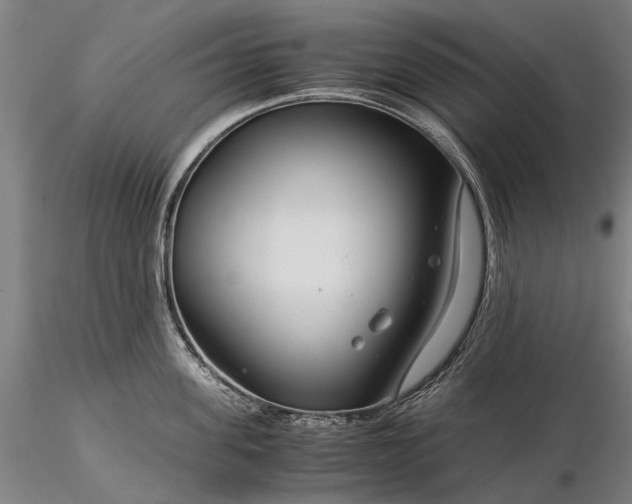 X0000116370955200912161435