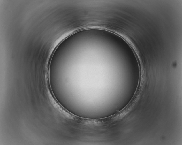 X0000116370957200912161435