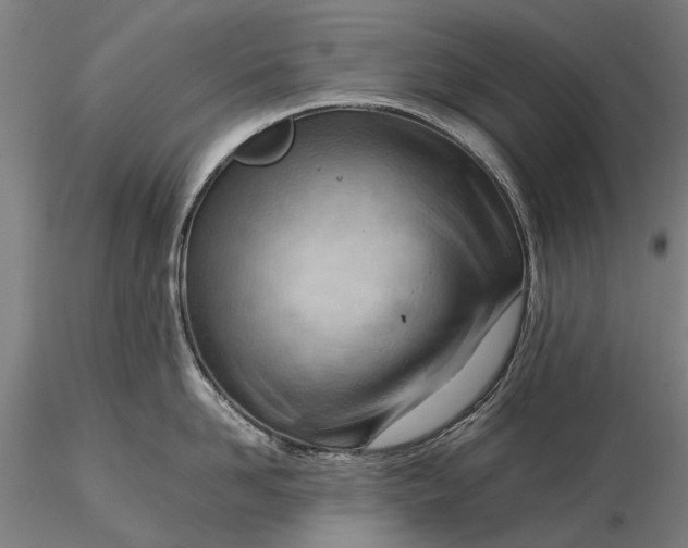 X0000116370958200912161435