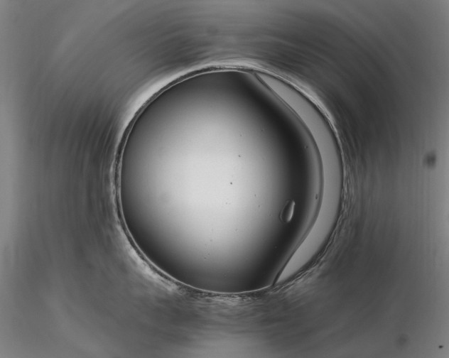 X0000116370959200912161435