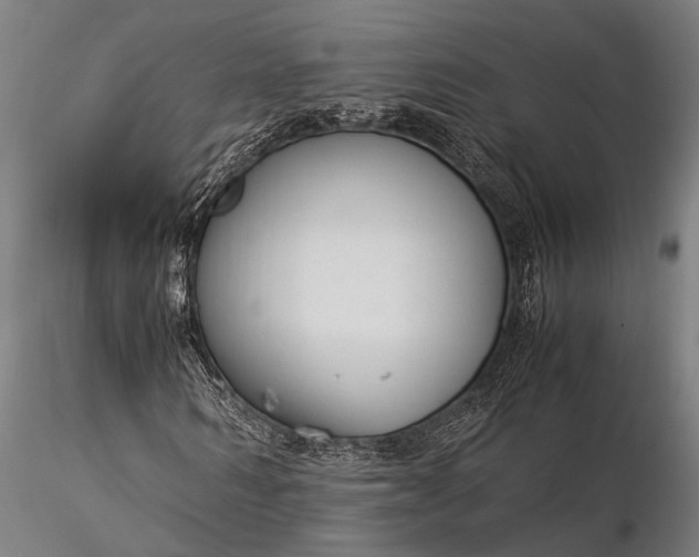 X0000116370962200912161434