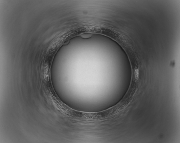 X0000116370963200912161434