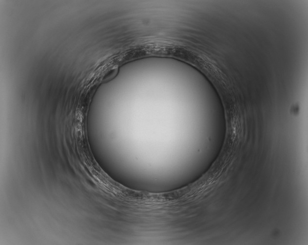 X0000116370964200912161434