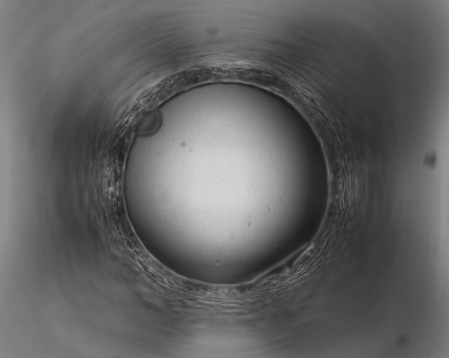 X0000116370966200912161434