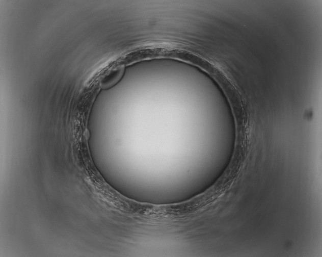 X0000116370967200912161434