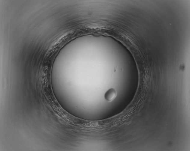 X0000116370968200912161434