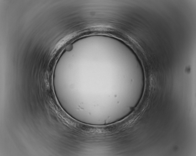 X0000116370970200912161434