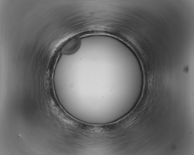 X0000116370971200912161434