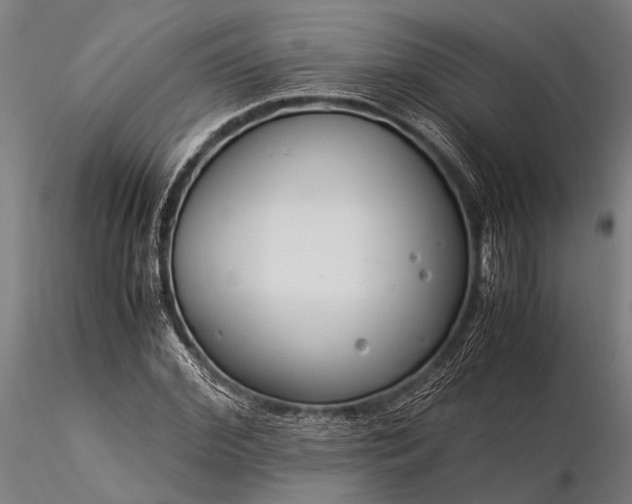 X0000116370972200912161434